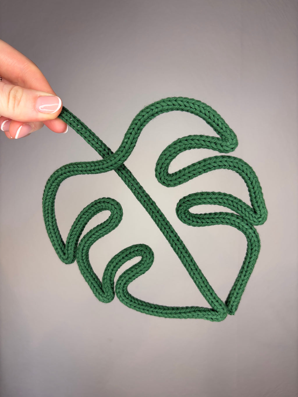 Monstera Leaf